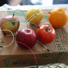 Branchement carte arduino