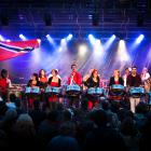 Les musiciens en concert