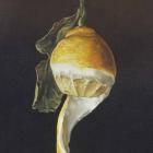 Till Rabus, Acrobatic Still Life 10, 2020, Huile sur toile, 45 x 27 cm, Collection privée © Till Rabus