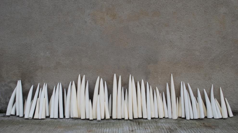 Julie Maquet