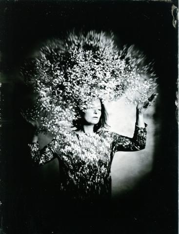 Emmanuel Ligner - Gypsophile