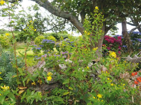 Exposition Imprimer le jardin